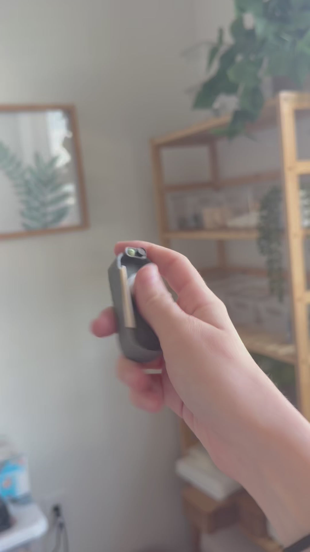 Sushi Slider Fidget | Magnet Sliding Fidget