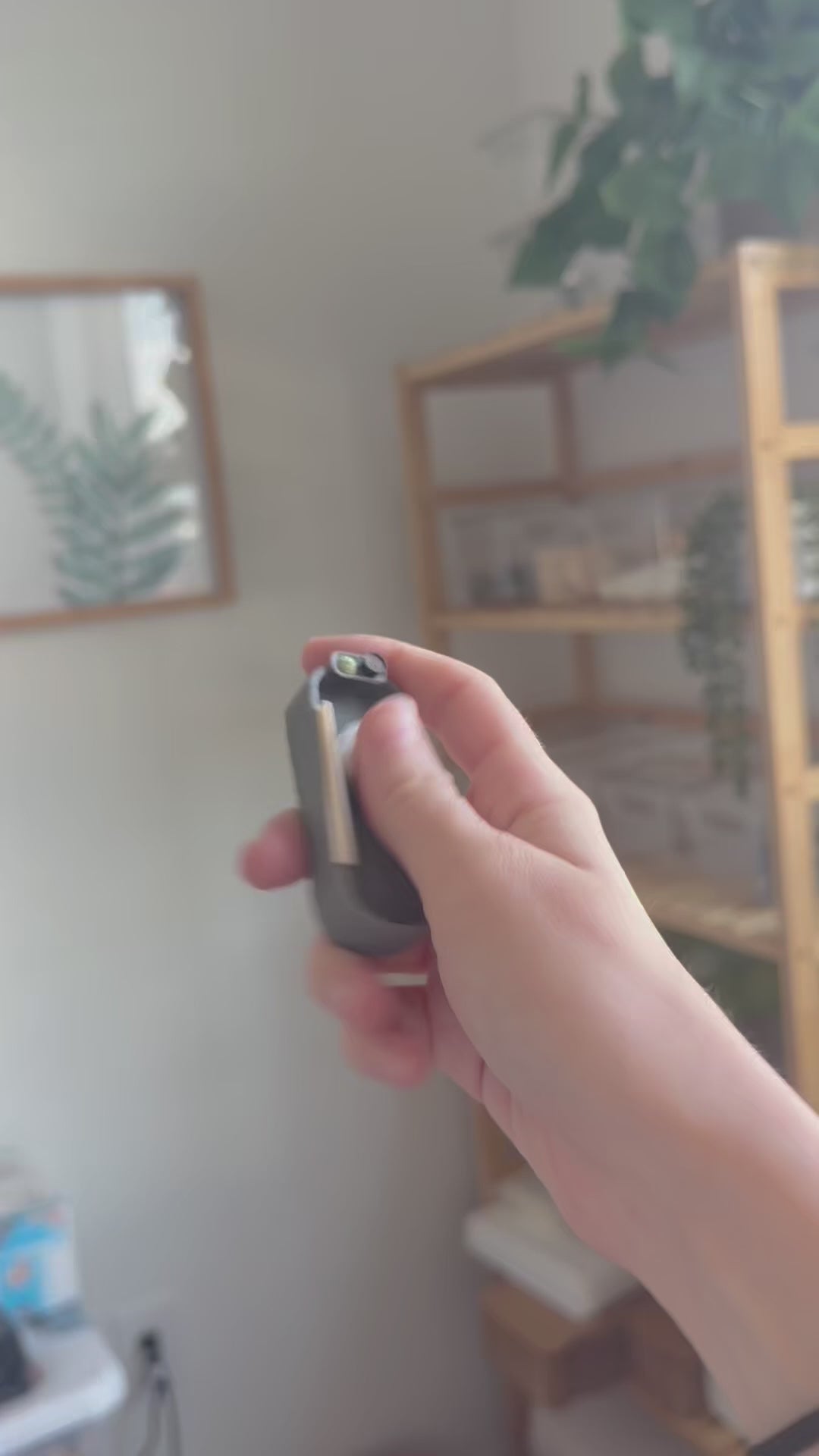 Sushi Slider Fidget | Magnet Sliding Fidget
