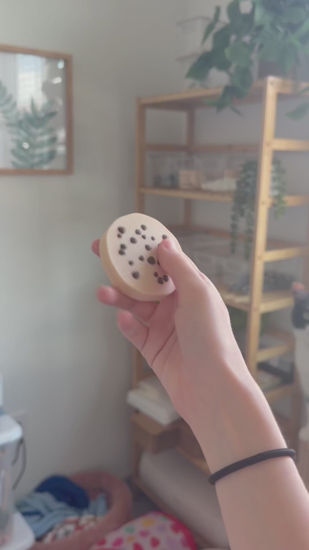 Cookie Slider Fidget | Magnet Sliding Fidget